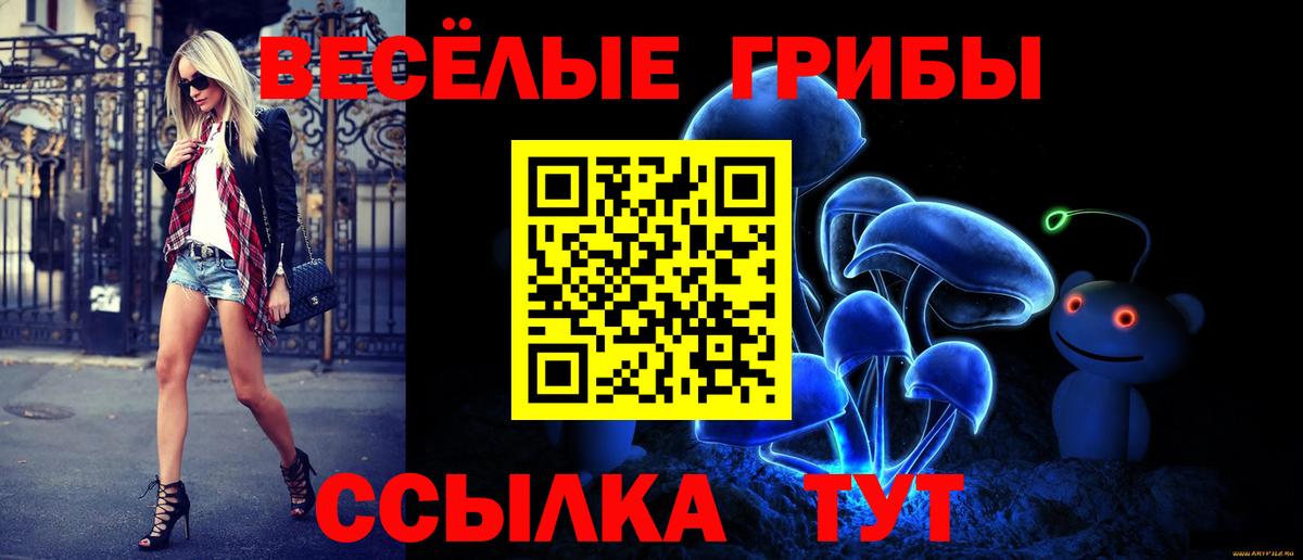 Галлюциногенные грибы мицелий Великий Устюг